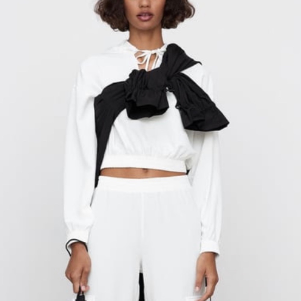Zara Sheer Cropped Hoodie
